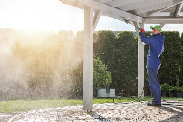 Best Roof Washing  in Forked River, NJ